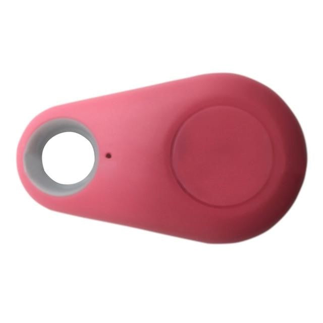 Lille vandafvisende kattetracker m. GPS, perfekt til eventyrlystne katte, så du altid kan finde den.