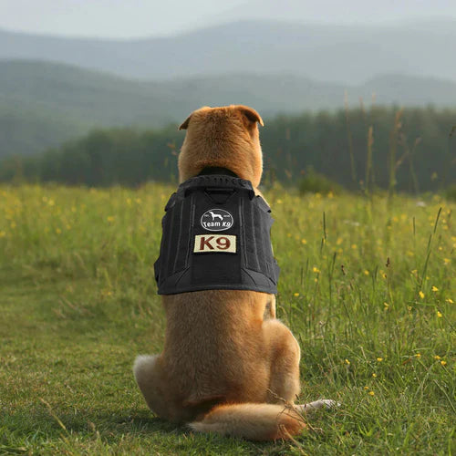 Justerbar taktisk hundevest i sort med no-pull funktion. Perfekt som hundesele og træningsvest til aktive hunde.
