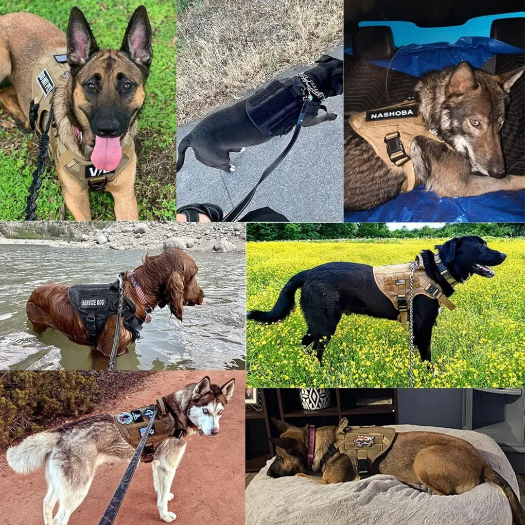 TacticalK9 hundetøjle i sort med robust håndtag, refleksdetaljer og justerbar pasform til hunde. Ideel til træning og udendørs aktiviteter.