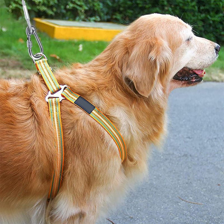 Tyggefast hundekobbel i stål med PVC, sikrer robusthed & holdbarhed til udendørs brug for din hund.