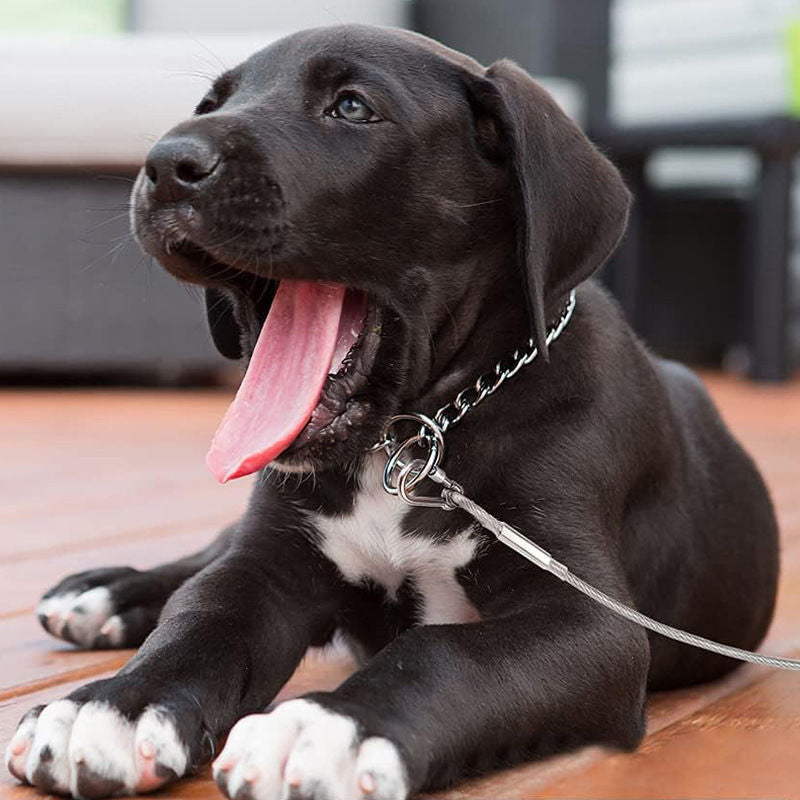 Stærkt hundekobbel til friluftsliv. Tyggefast stål med PVC, giver din hund sikker frihed udenfor.