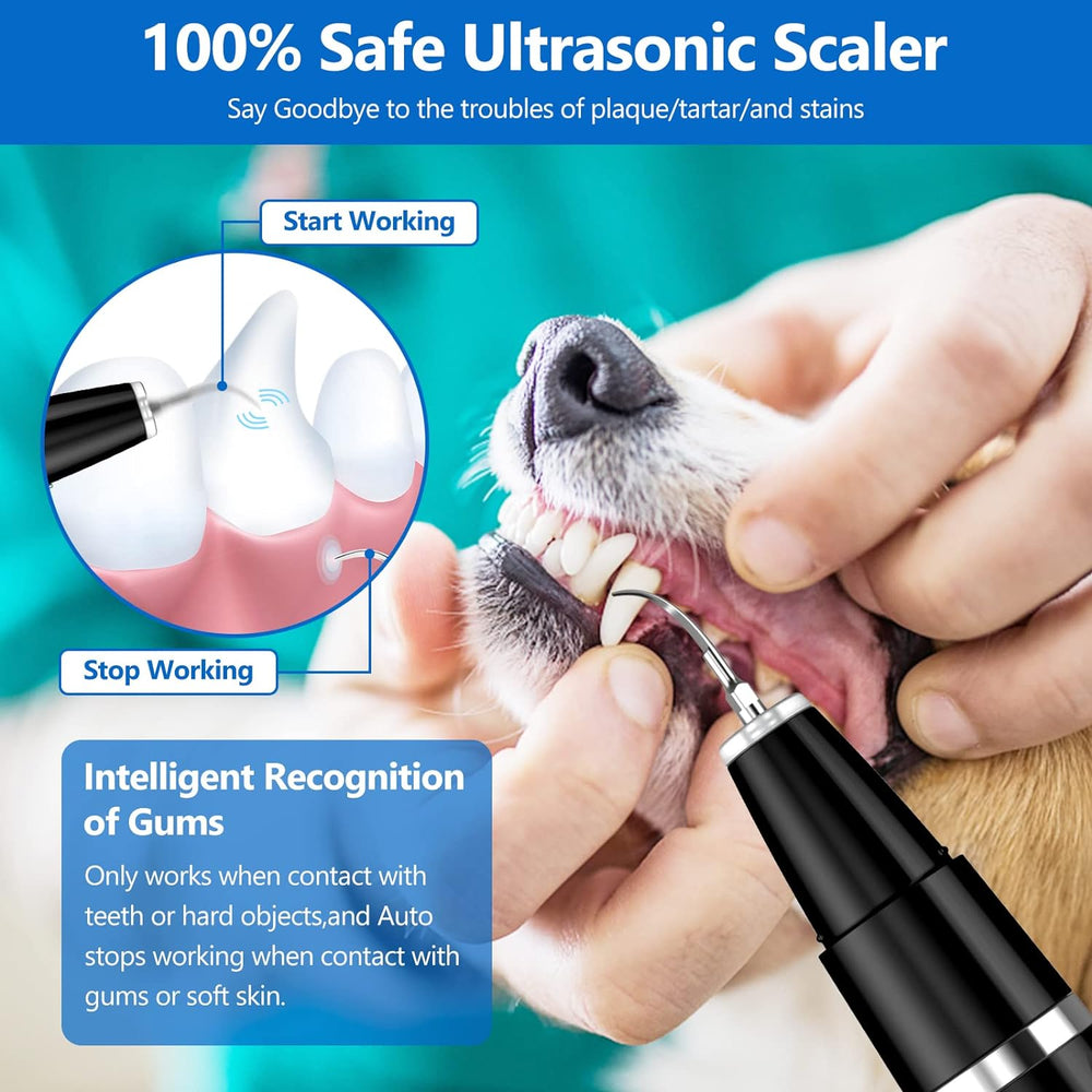 Ultraschall-Zahnreinigungsset für Haustiere med 4 værktøjer, egnet til hunde og katte, skånsom rengøring, USB-opladelig
