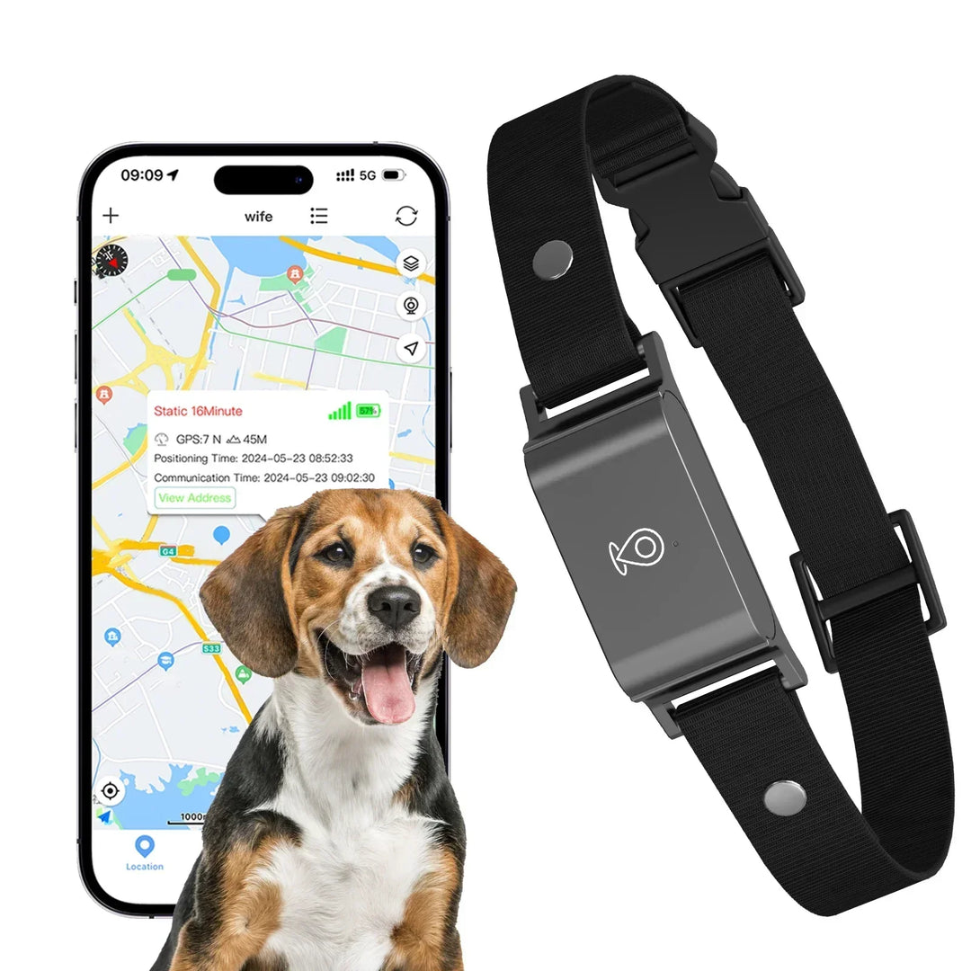 Vandtæt GPS-halsbånd til hunde og katte; sikker realtime sporing af dit kæledyr.