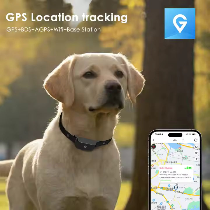 Nærbillede af vandtæt GPS-halsbånd til hunde og katte, designet til al slags vejr.