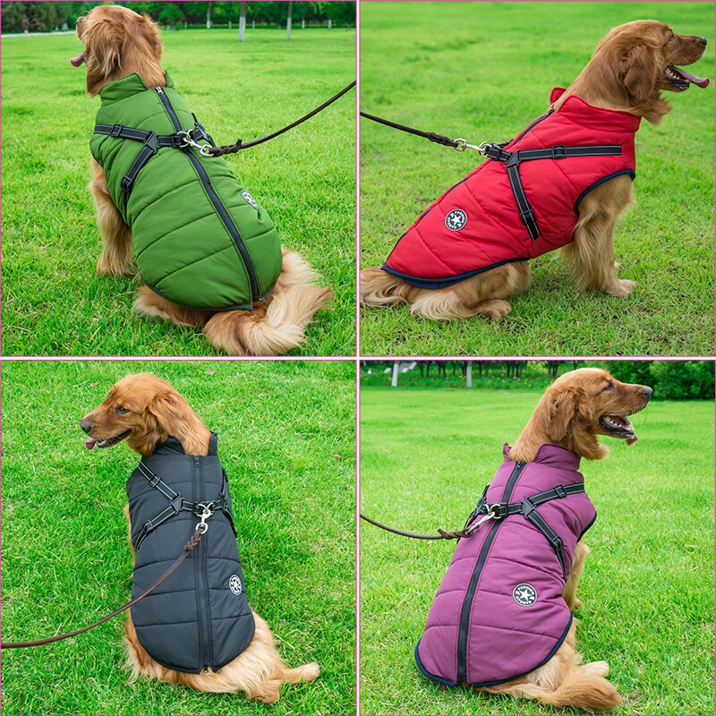 Hundebeklædning der holder din hund tør, sikker og synlig. Vandtæt jakke med reflekser og justerbar pasform.