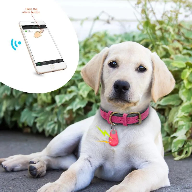 Vandtæt GPS-tracker til kæledyr, kompakt og robust, sporing i reeltid til hunde og katte, fastgjort på halsbåndet.