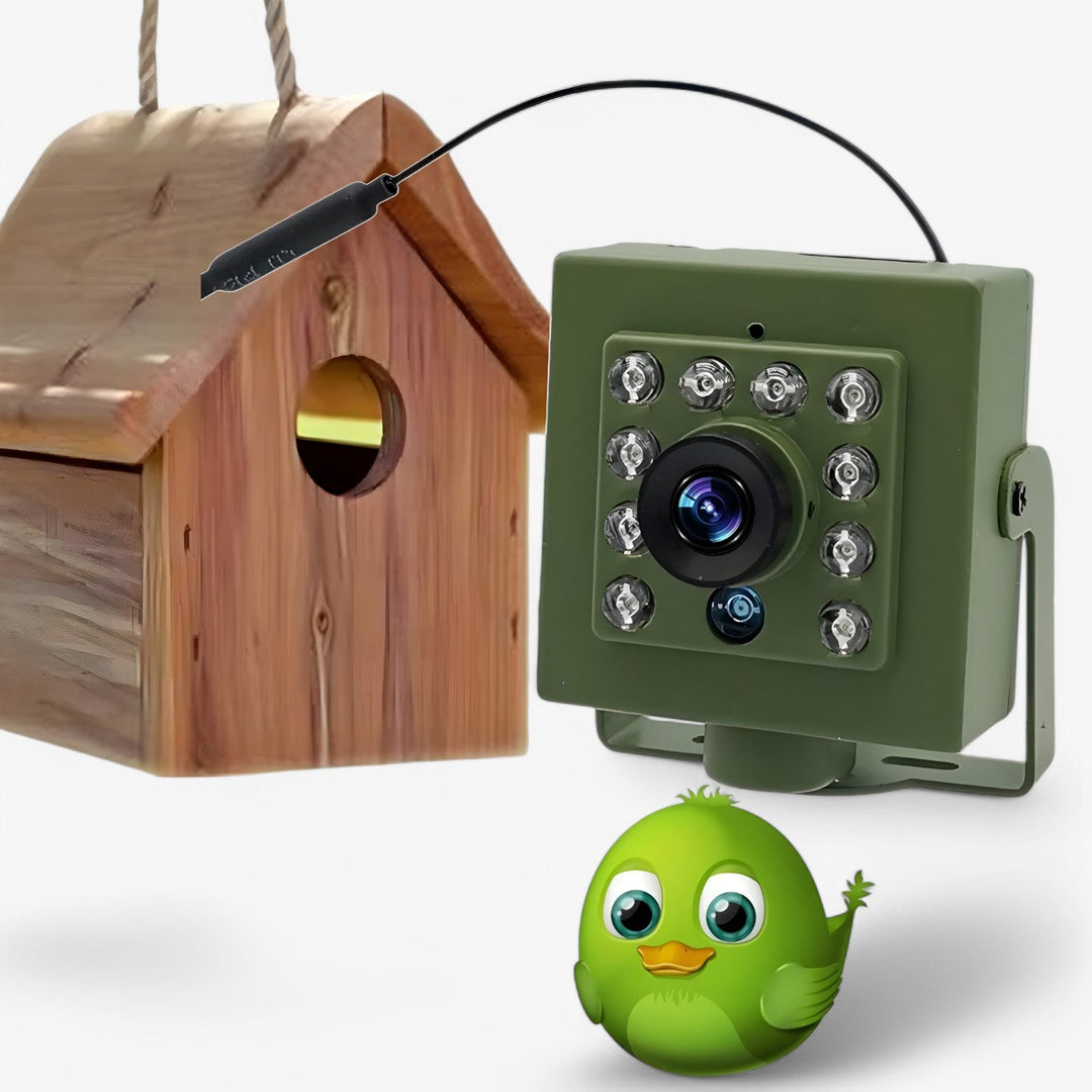 WLAN fuglekamera 1080p HD, vejrbestandigt, perfekt til fuglekiggeri i naturen.