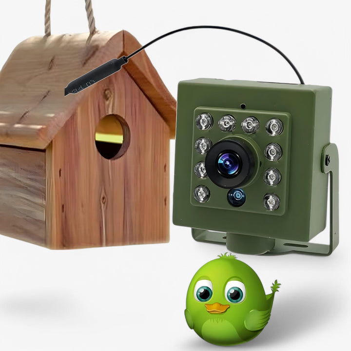 WLAN fuglekamera 1080p HD, vejrbestandigt, perfekt til fuglekiggeri i naturen.