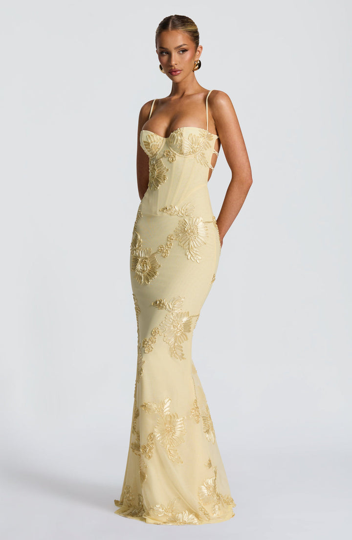 Detalje af elegant kvinders blomster corset kjole. Smuk snøredetalje og mønster til festlige lejligheder.