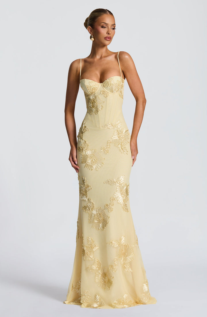Helbillede af lang elegant blomstret maxi kjole til kvinder. Ideel som bryllupsgæst eller gallakjole.